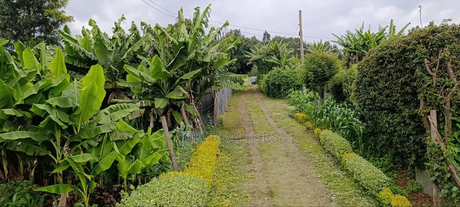 Prime Residential Plots in Kikuyu Sigona