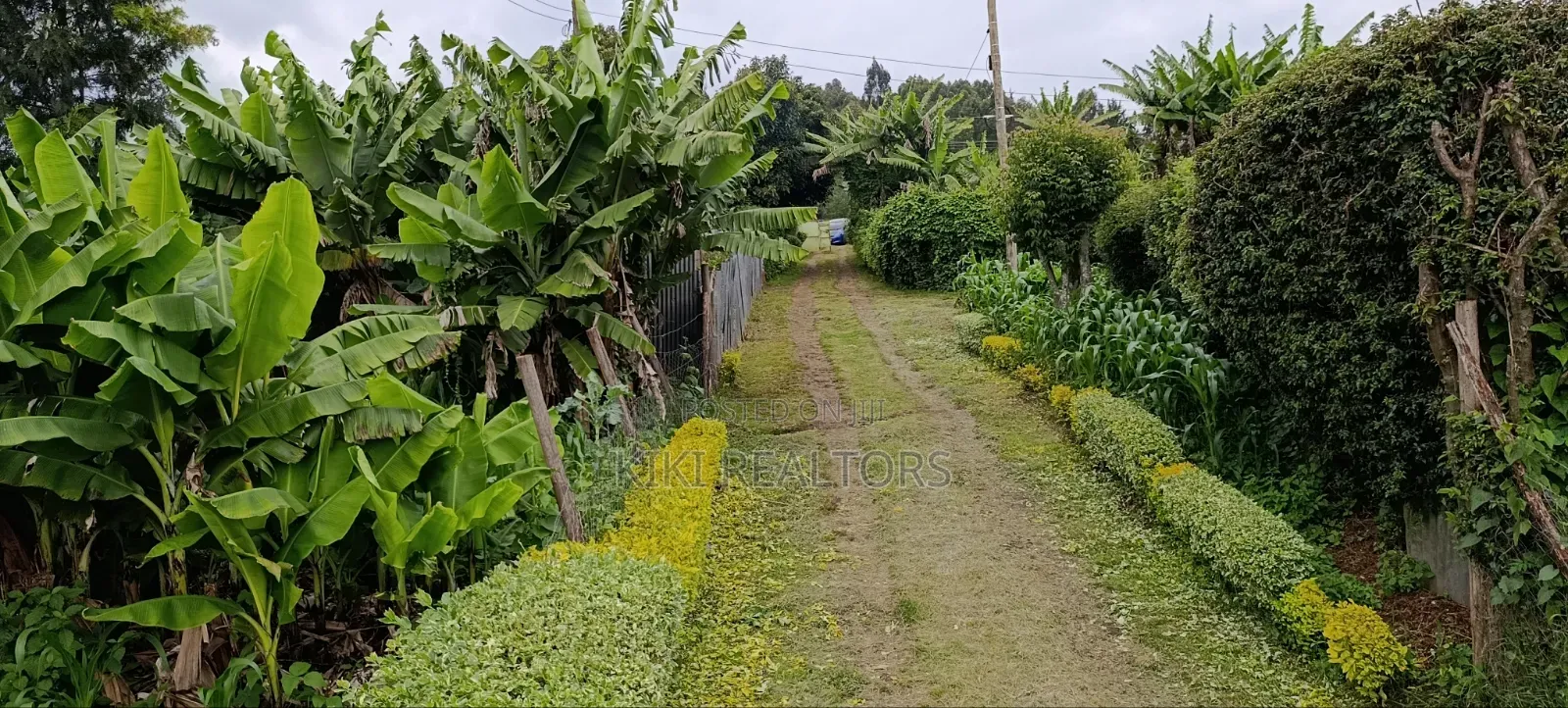 Prime Residential Plots in Kikuyu Sigona