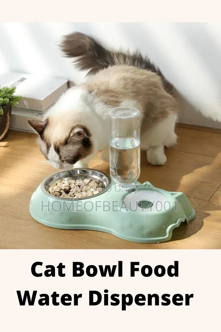 Automatic Single Pet Bowl Plus Water Dispenser