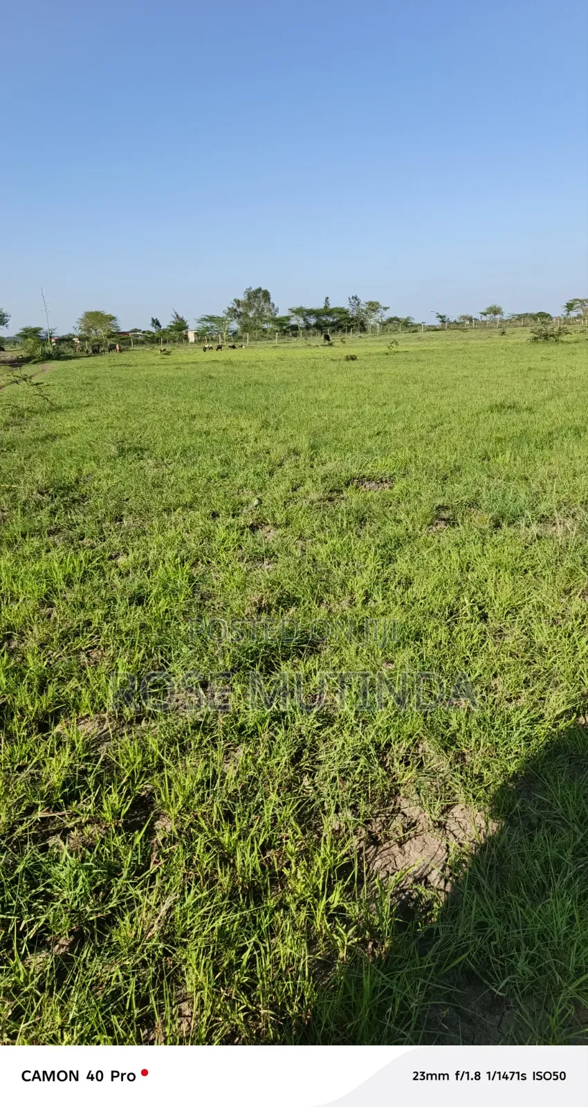 3acres Ar Koma