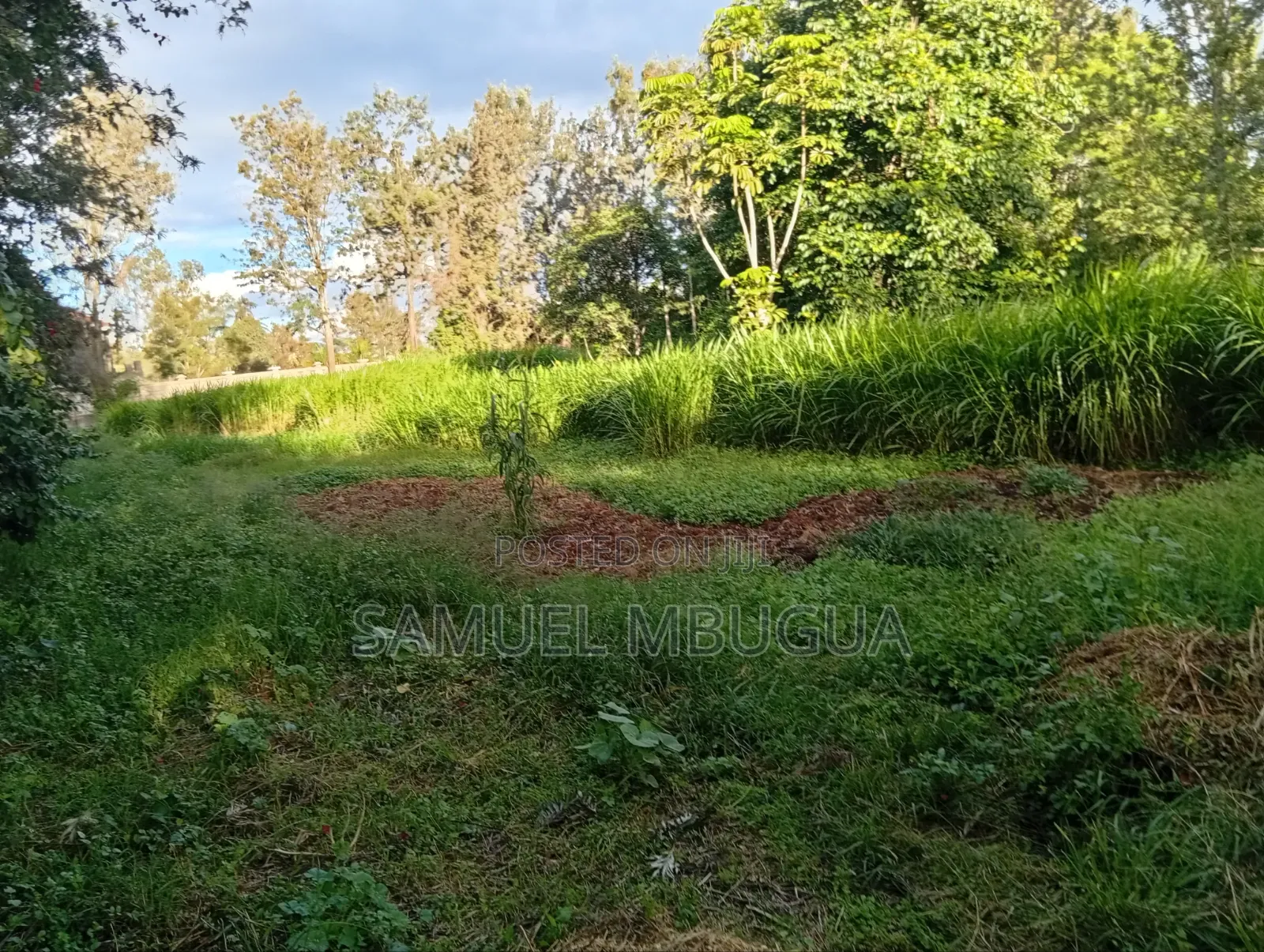 Land for Sale in Kikuyu