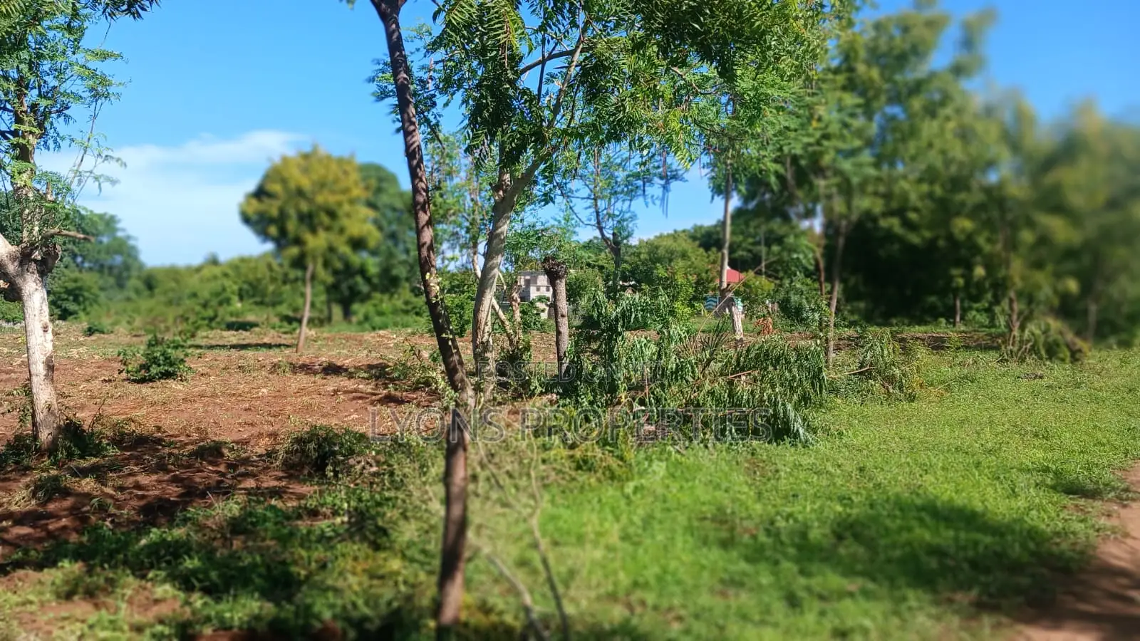1 Acre of Land