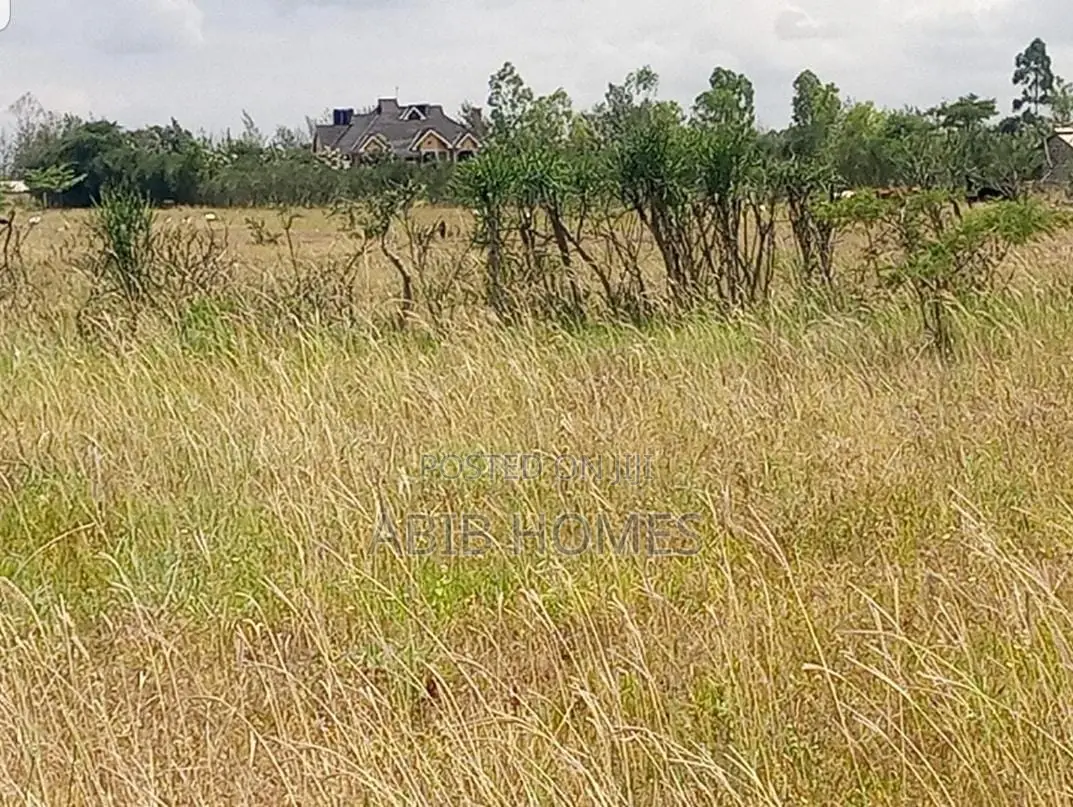 Affordable 50x80 Plots in Juja Farm – 1.3m Only