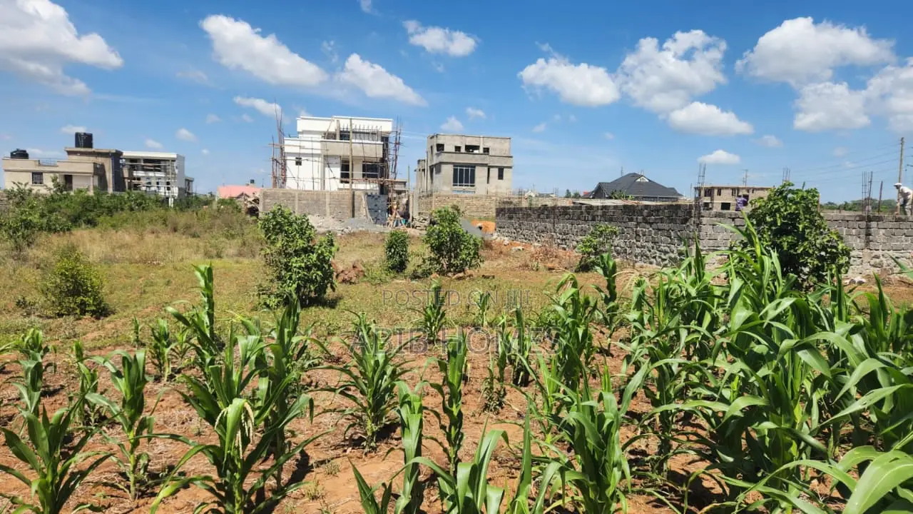 Prime 40x80 Plots in Tola – Ready Title – Only 2 Plots Remaining