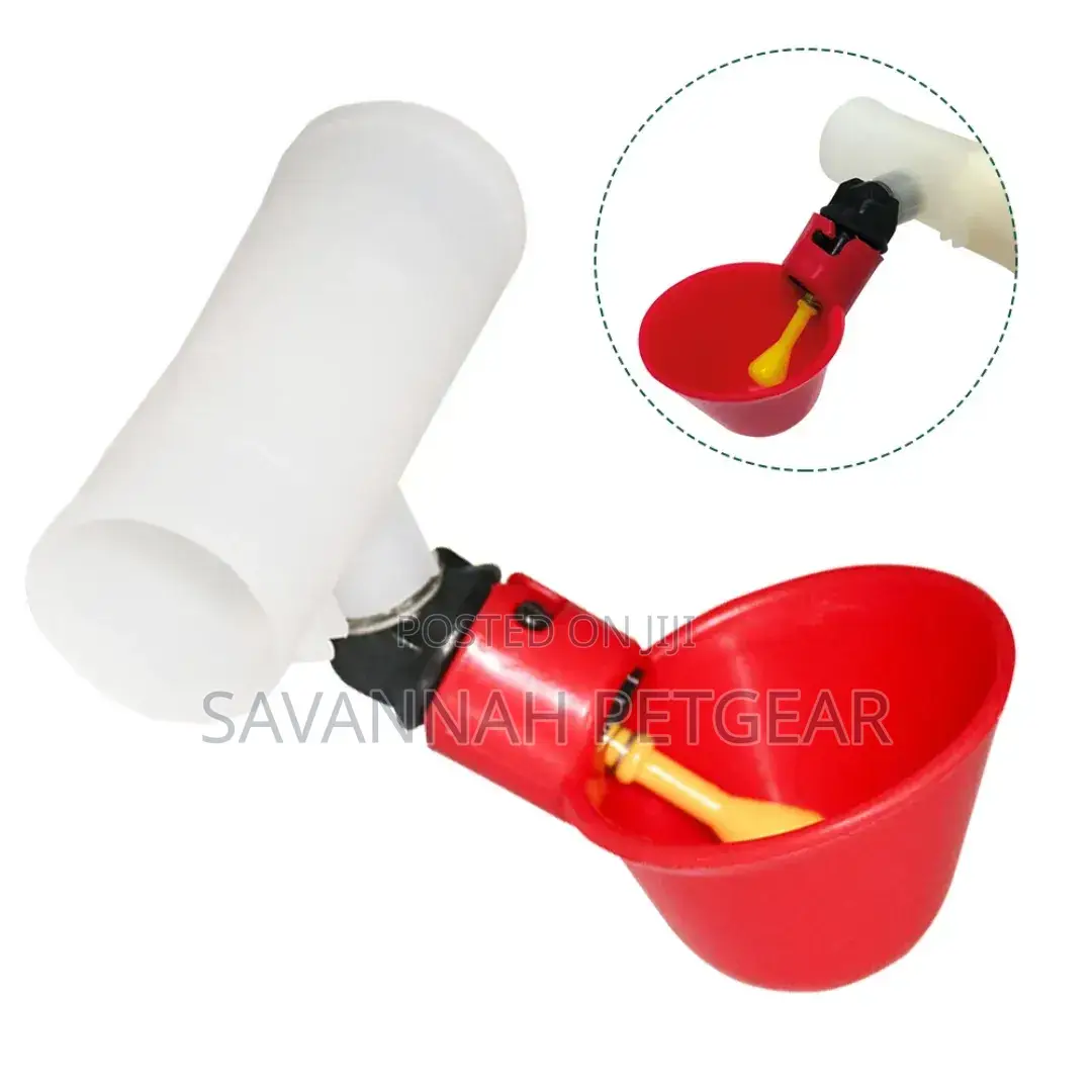 Broiler Chicken Drinkers and Feeders Poultry Chicken Drinker With Cup