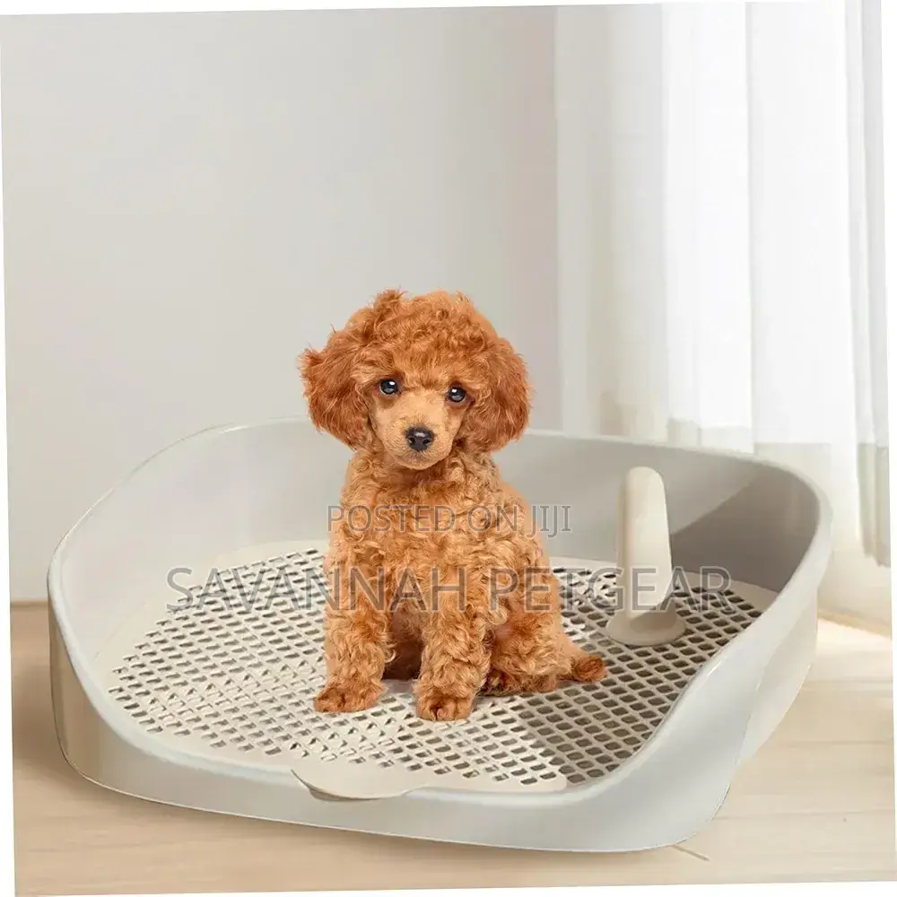 Plastic Dog Toilet Washable Indoor Potty Training for Small Dogs Puppy