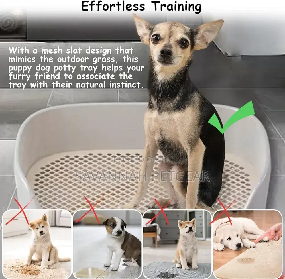 Plastic Dog Toilet Washable Indoor Potty Training for Small Dogs Puppy