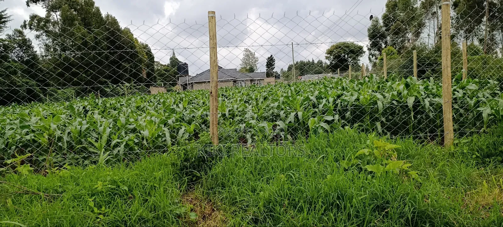 Kikuyu Sigona Prime and Residential Plots