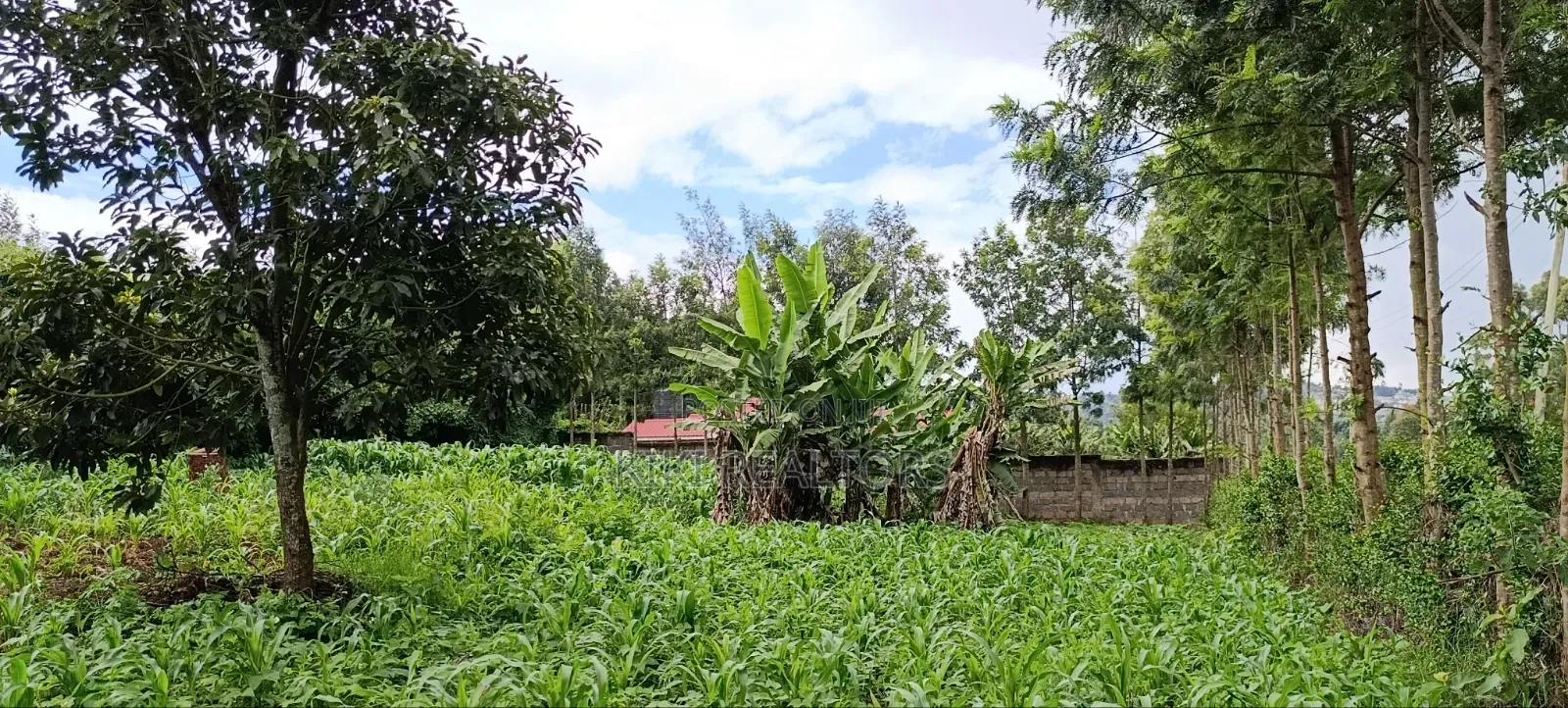 Kikuyu Sigona Kerwa Plots for Sale