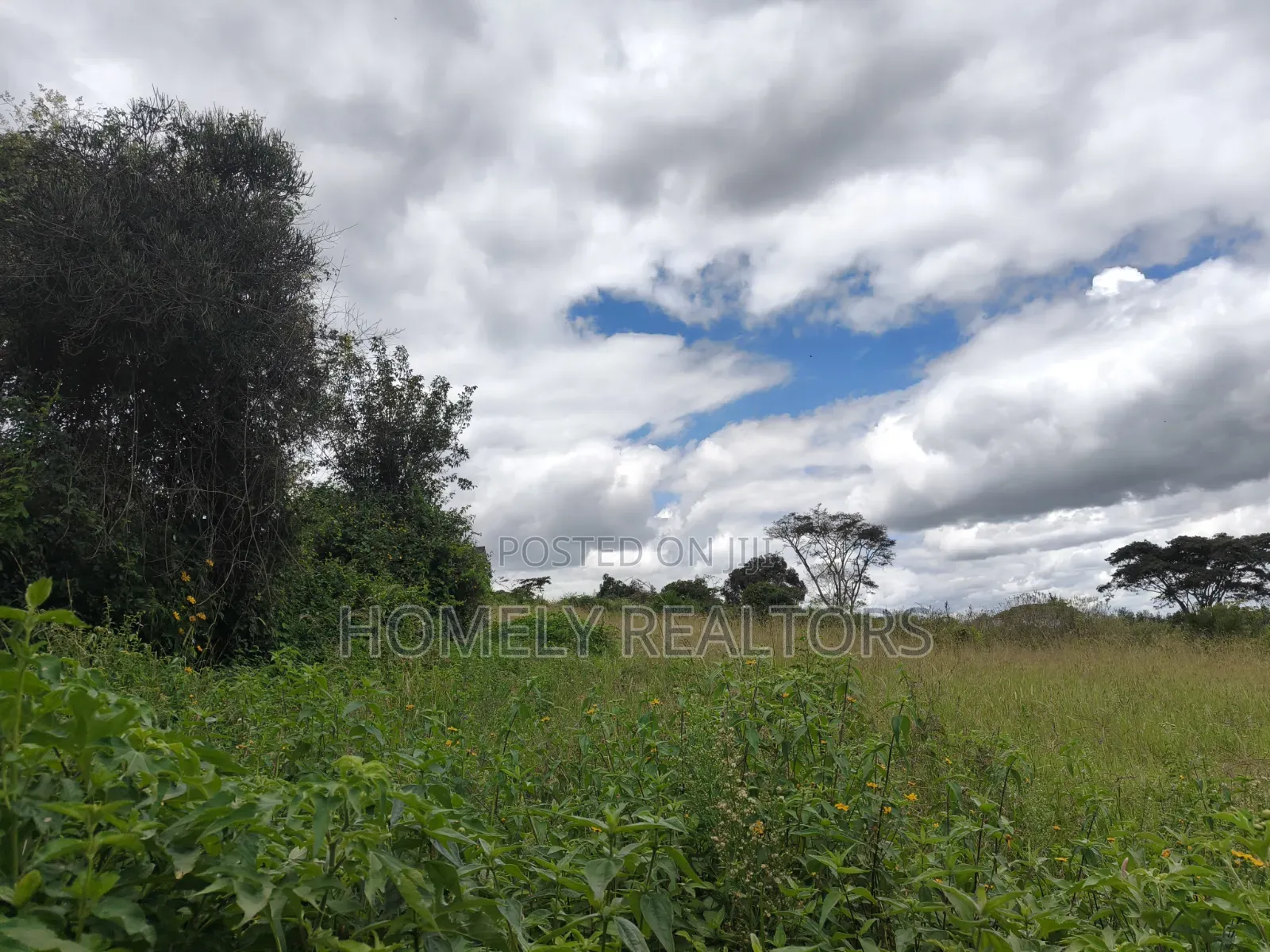 Residential Quarter Acre Plot for Sale in Ngong, Ol Keri