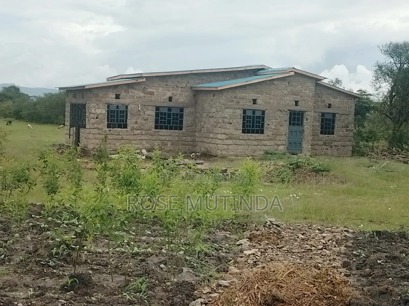 Half an Acre at Mitaboni