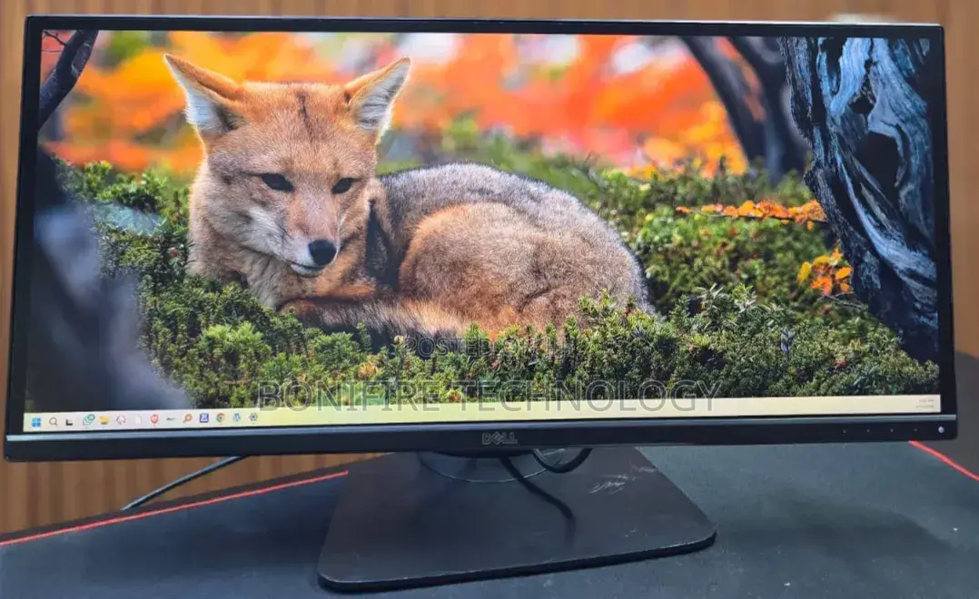 Dell 29inch Monitor Model: U2913wht