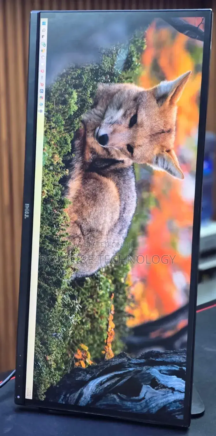 Dell 29inch Monitor Model: U2913wht