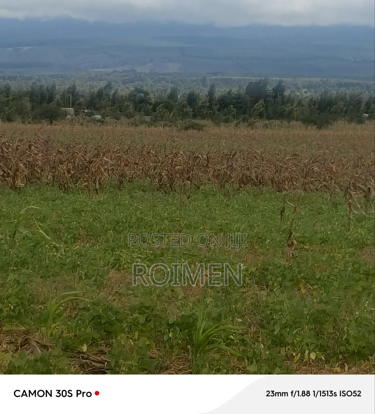 5 Acres Land