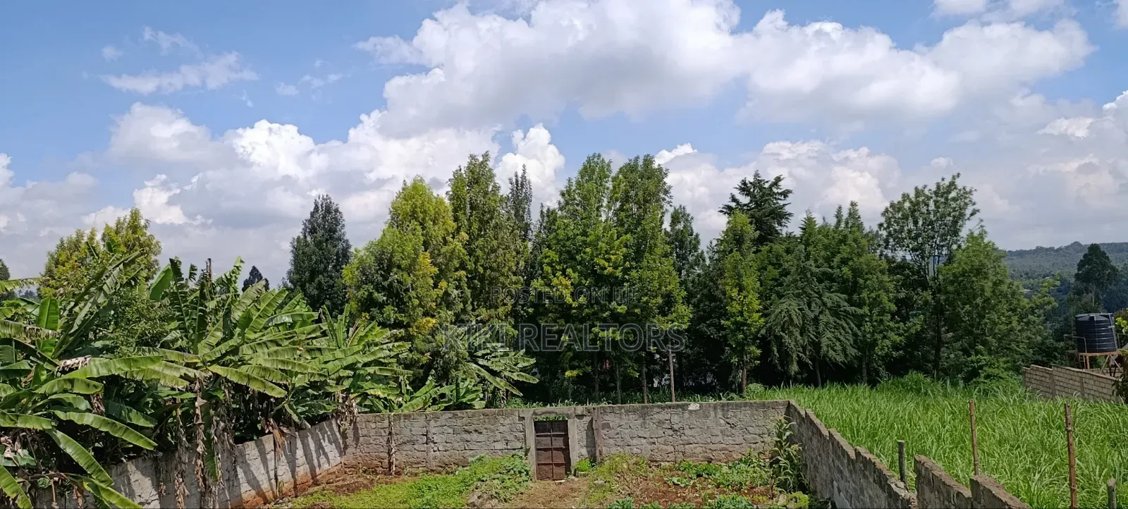 Kikuyu Plots for Sale in Sigona (100x100fts)