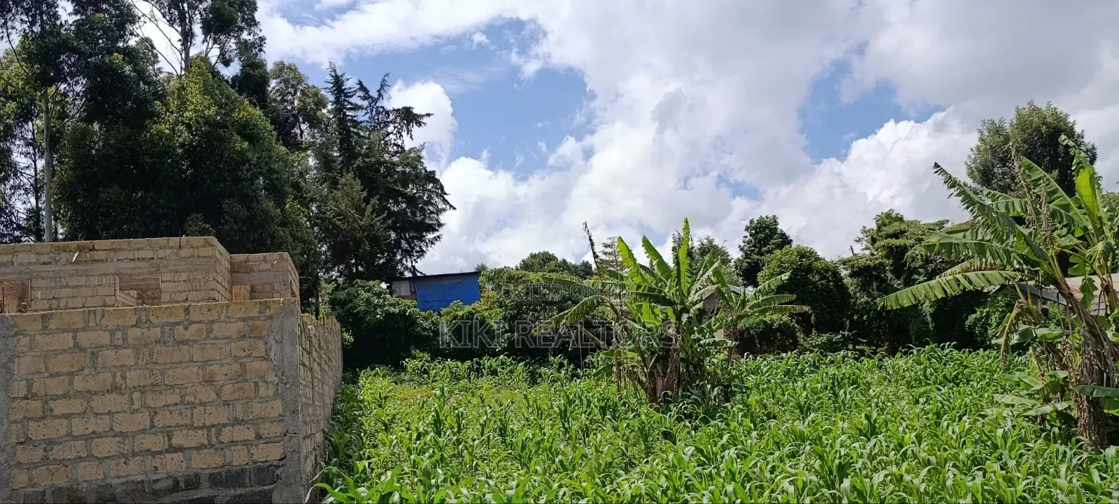 Kikuyu Plots for Sale