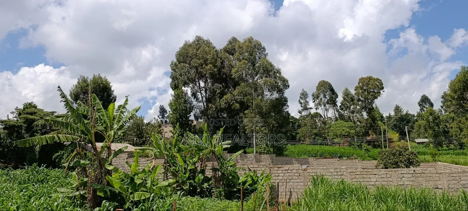 Kikuyu Plots for Sale