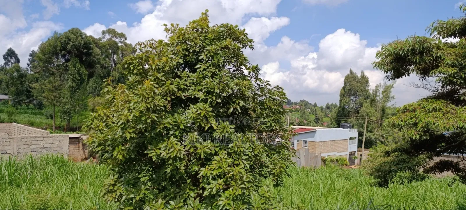 Kikuyu Plots for Sale