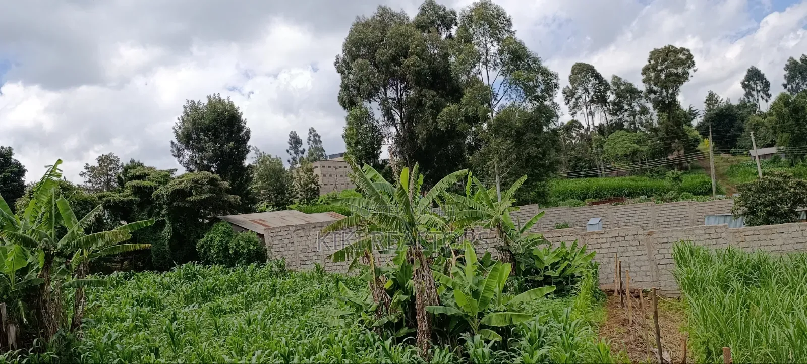 Kikuyu Plots for Sale