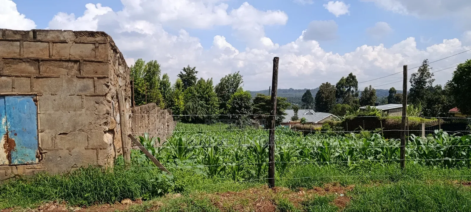 Kikuyu Residential and Prime Plots (100x100fts)