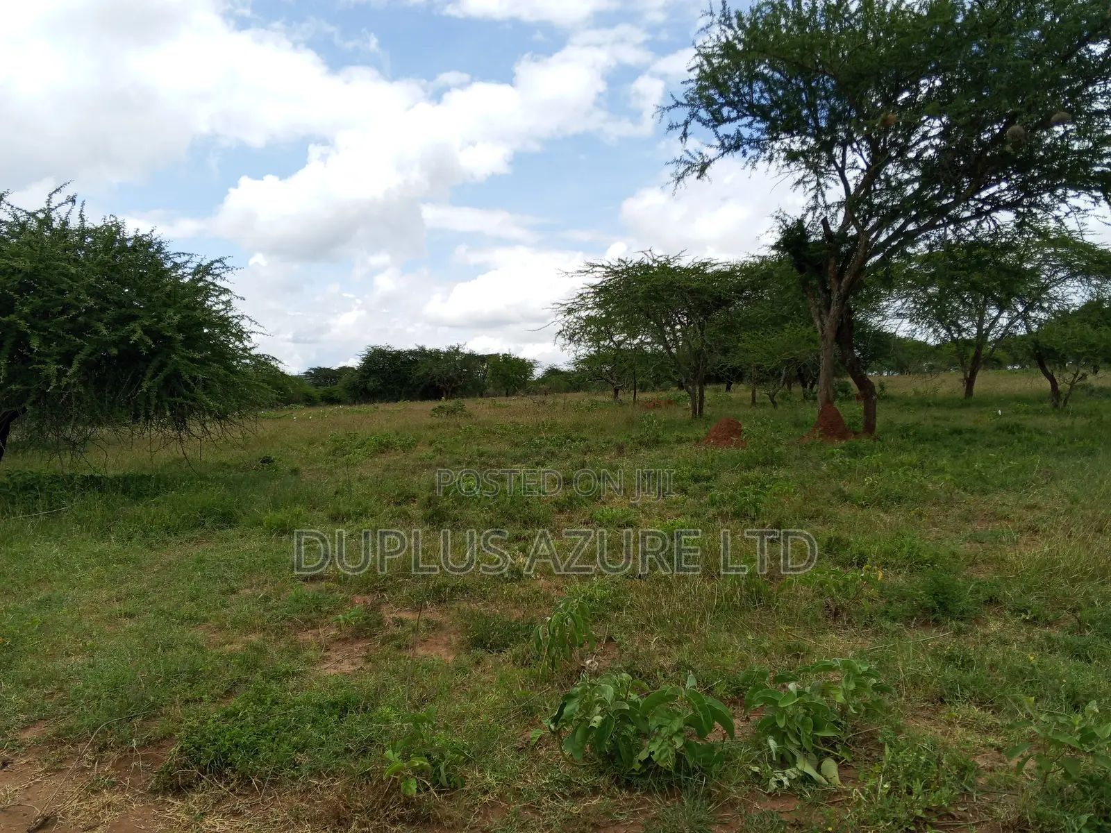 15 Acres for Sale in Kajiado