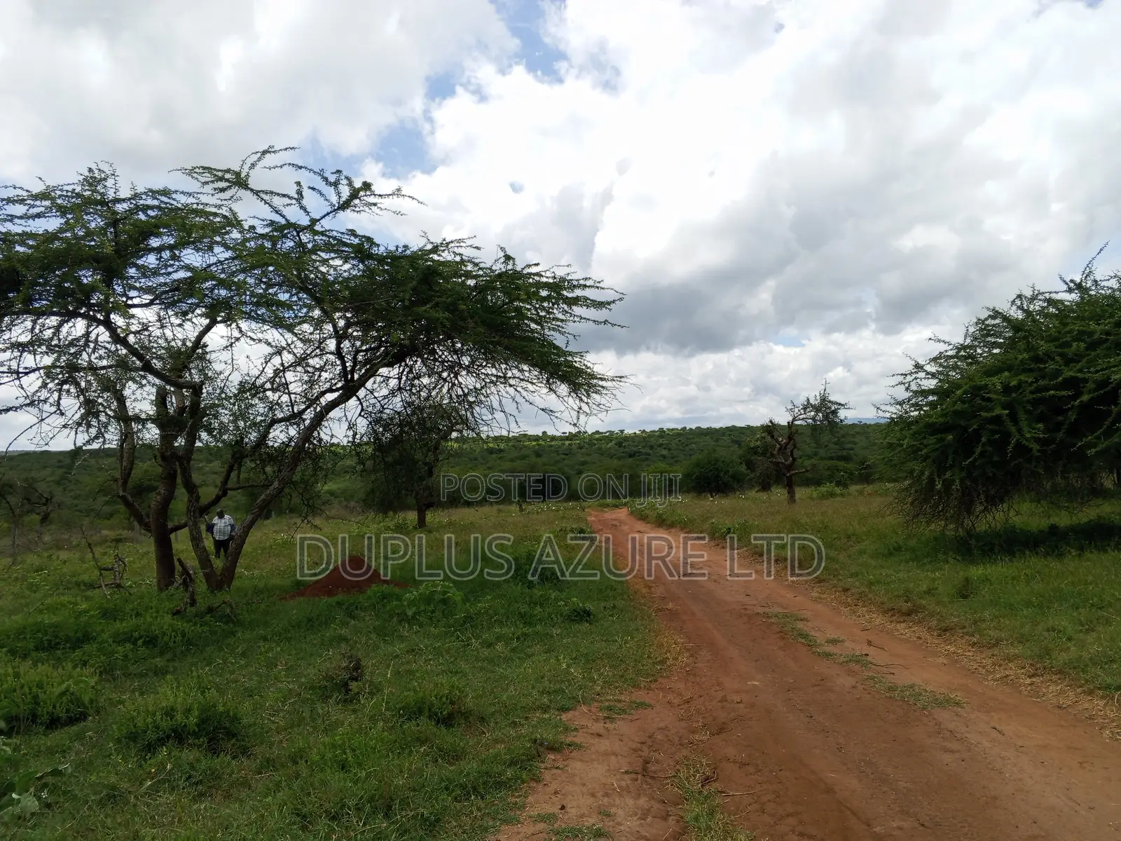 15 Acres for Sale in Kajiado