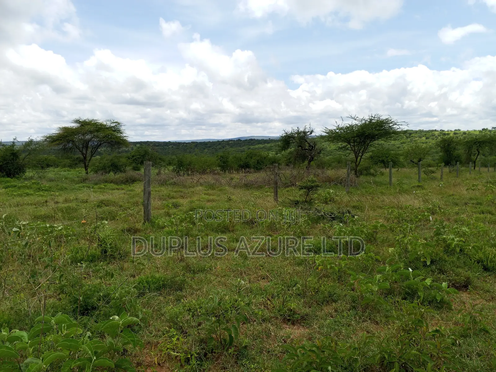 15 Acres for Sale in Kajiado