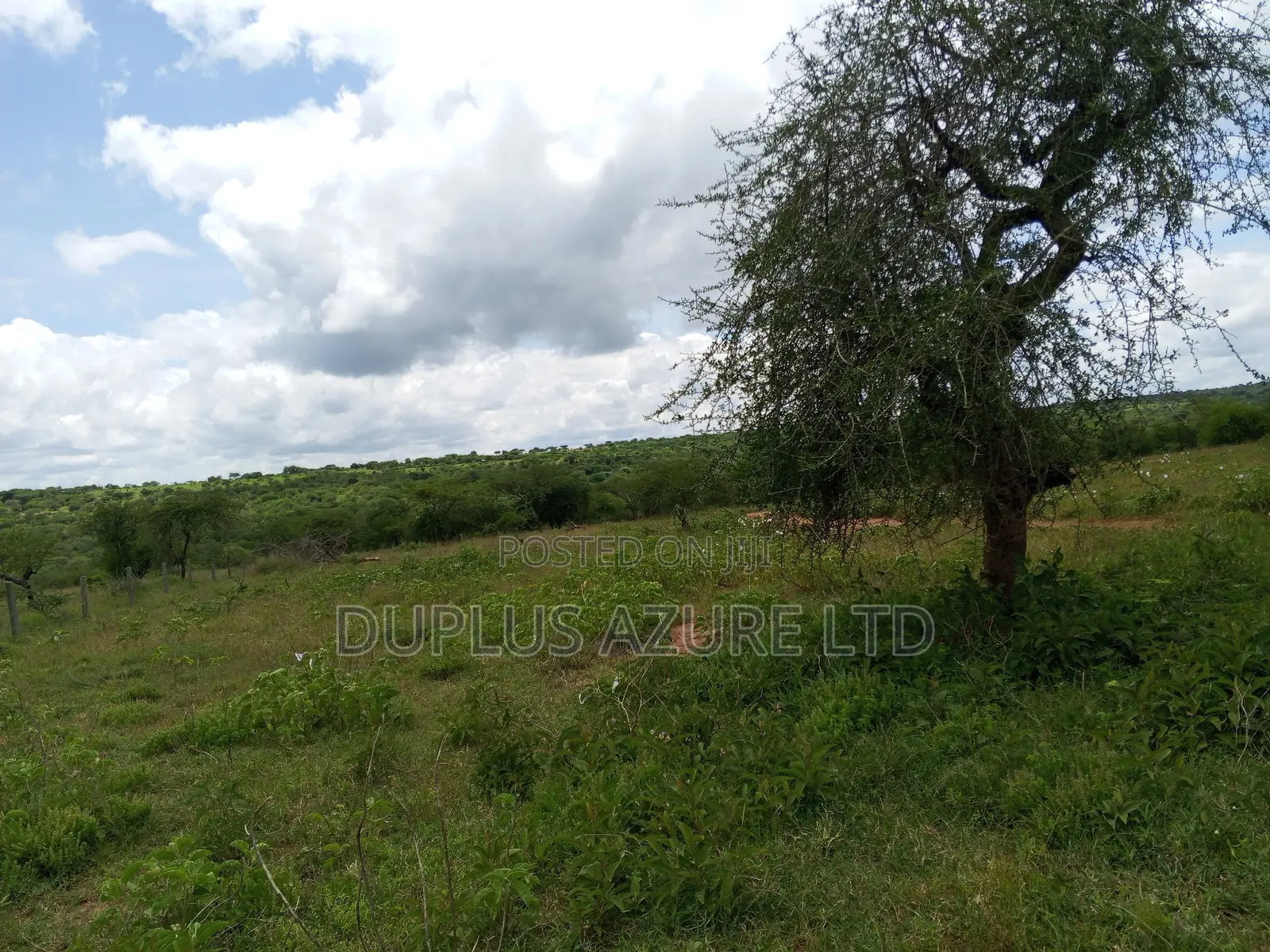 15 Acres for Sale in Kajiado