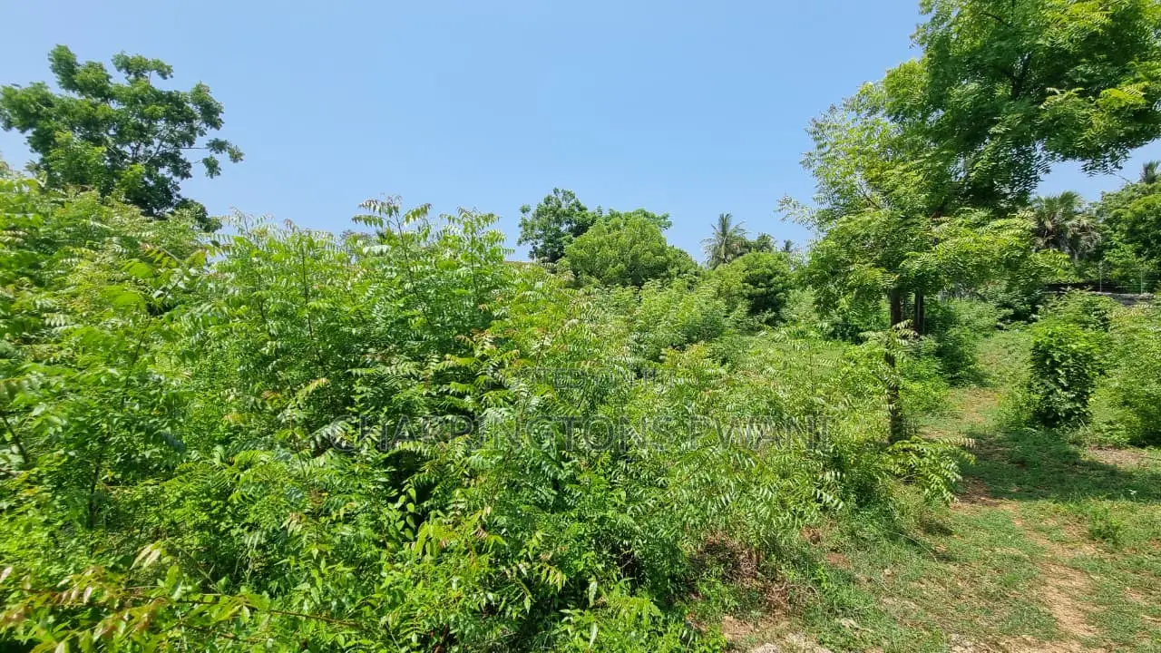 1 Acre Plot | 3rd Row Diani | Perimeter Wall | Kshs. 25m