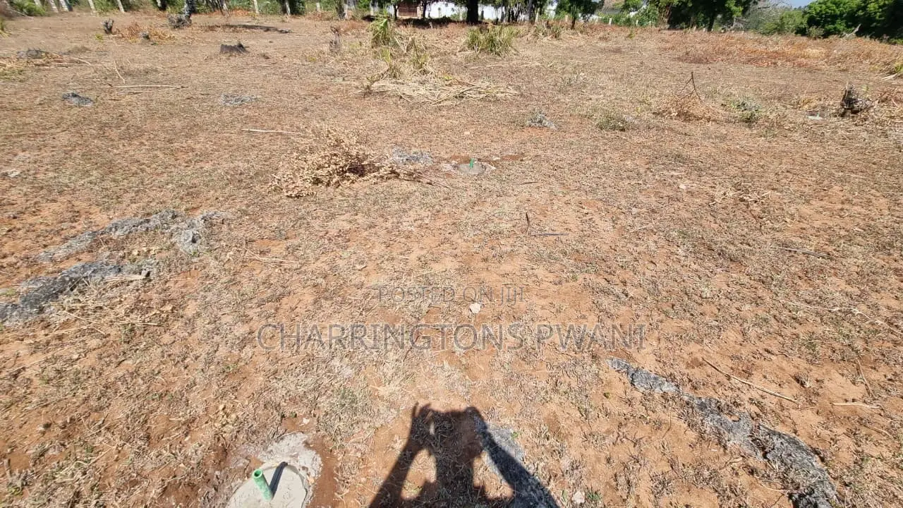 1⁄4 Acre Plot | 3rd Row Diani | Flat Beaconed | Municipal Water