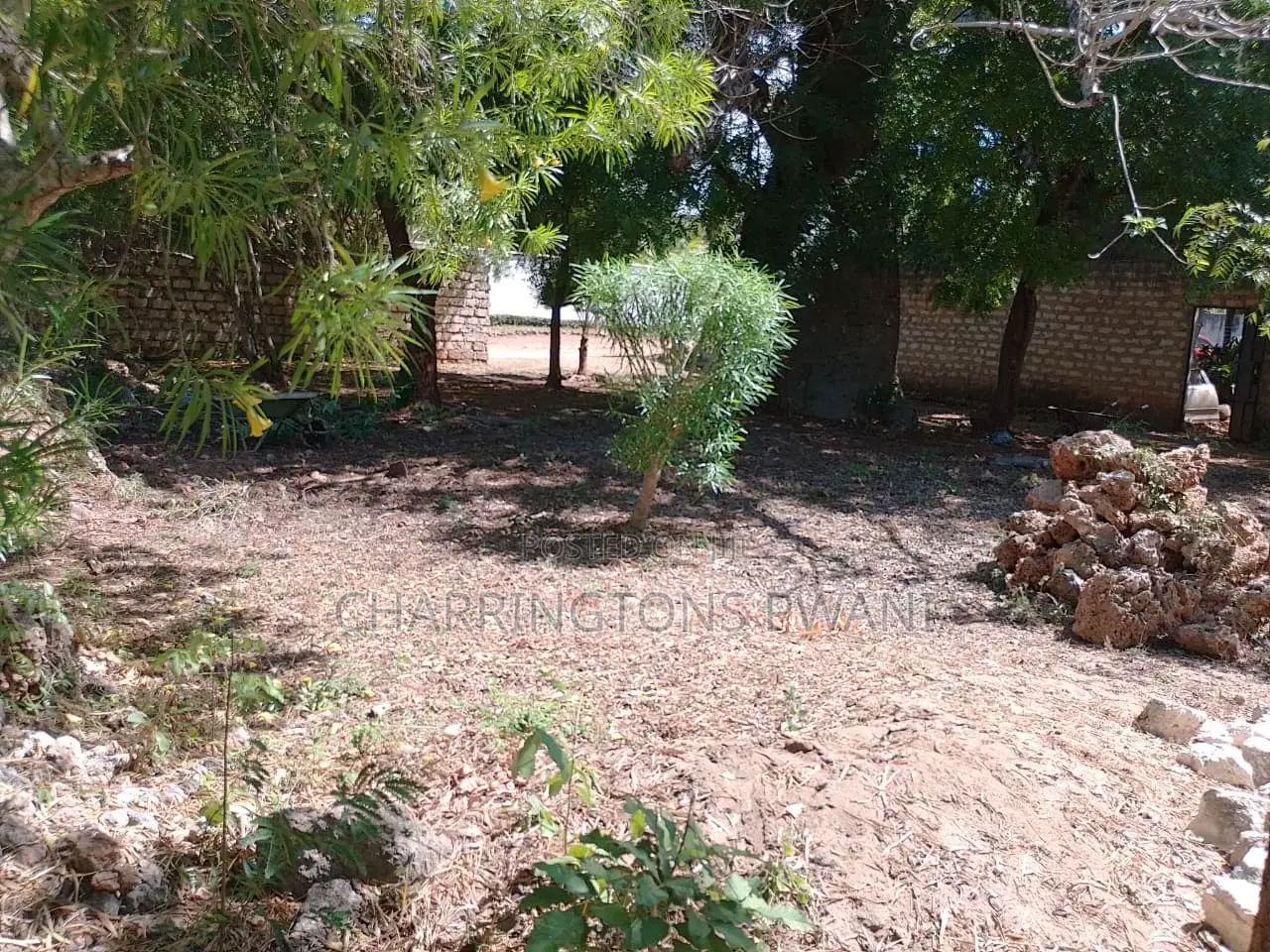 1/8 Acre Plot | Mature Baobab | Road Frontage | 2km to Beach | Diani
