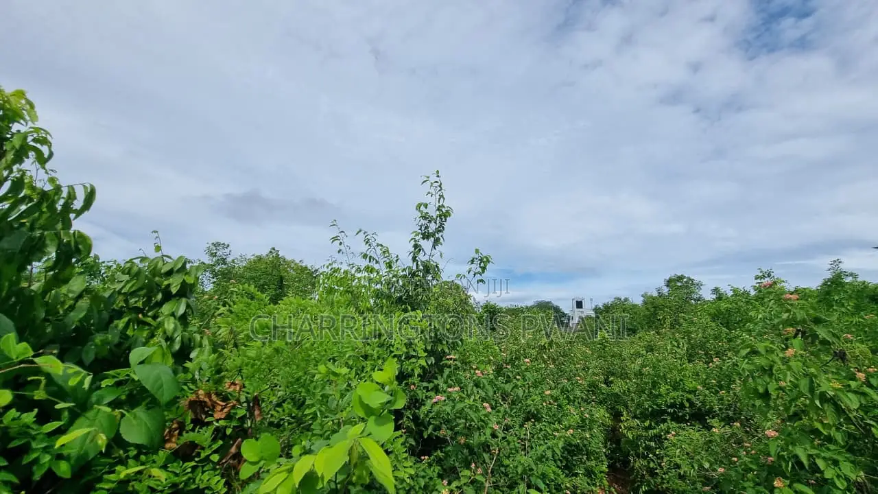 1⁄2 Acre Plot | 3rd Row Diani | Mature Vegetation | 6 Mins to Beach