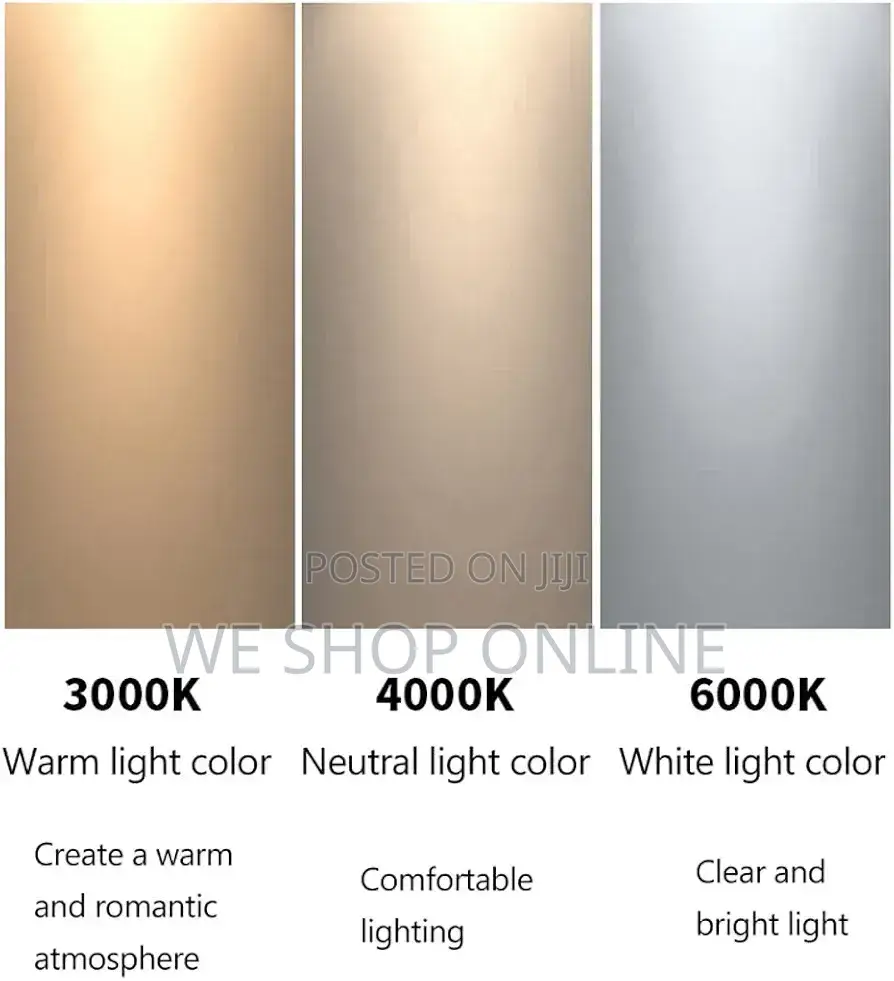 Flush Mount Ceiling Light