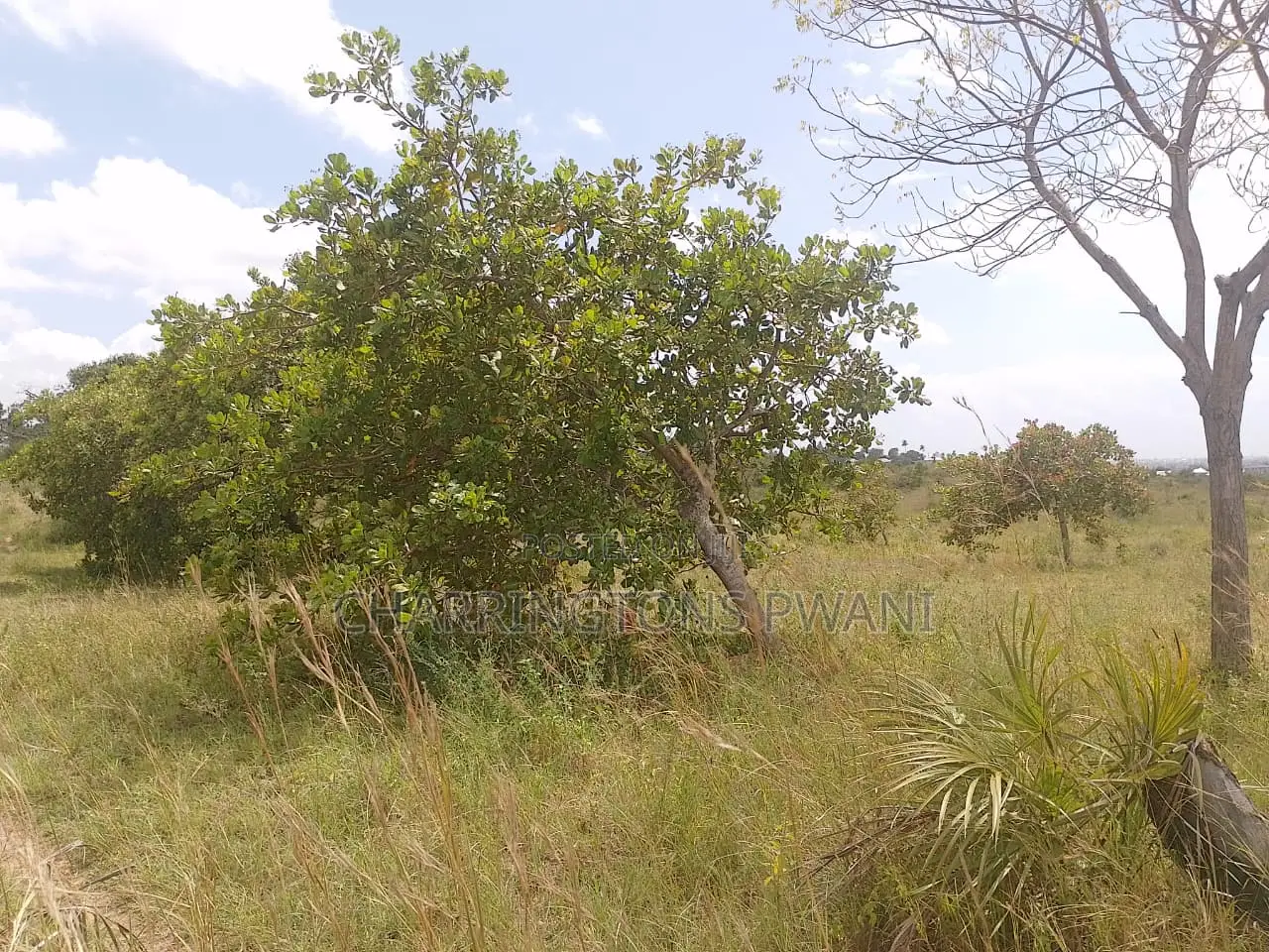 1 Acre Plot| Ocean Mombasa Skyline Views|Gentle Slope| Dongo Kundu