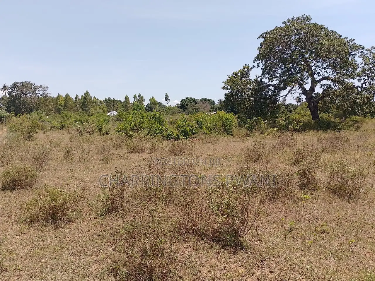 1.75 Acres| Flat| Water Electricity| Dongo Kundu Bypass| Ng'ombeni