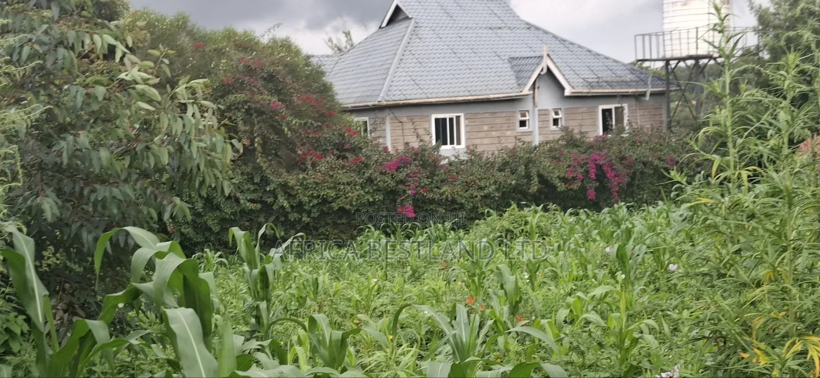 100x100 Plot for Sale – Thigio, Kiambu County