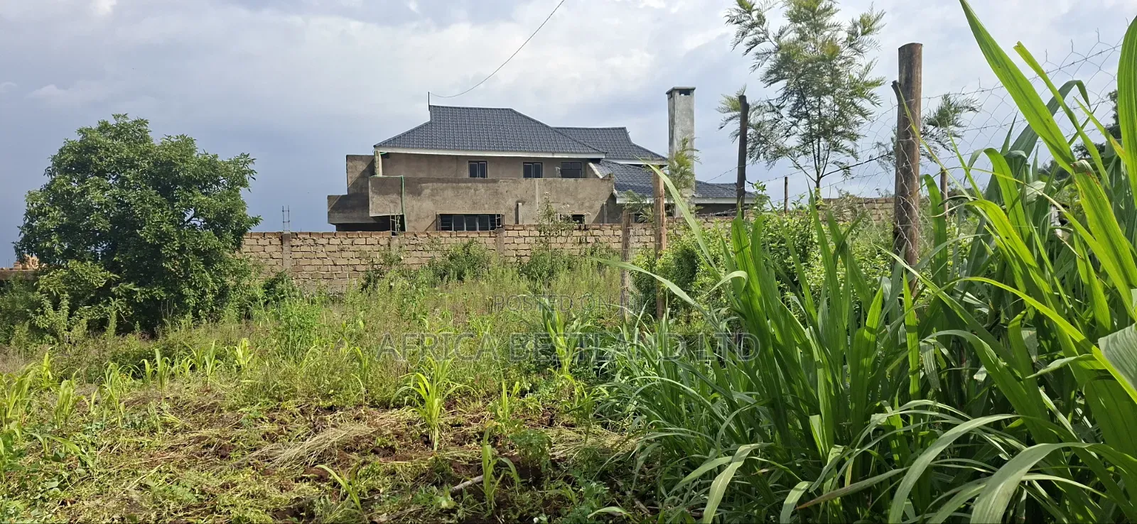 50x100 Residential Plot for Sale – Kikuyu Ng'amba, Kiambu County