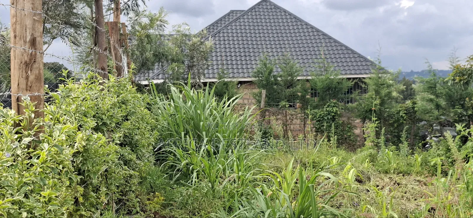 50x100 Residential Plot for Sale – Kikuyu Ng'amba, Kiambu County