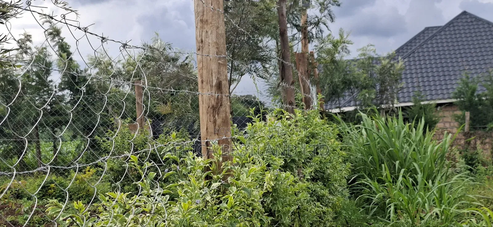 50x100 Residential Plot for Sale – Kikuyu Ng'amba, Kiambu County