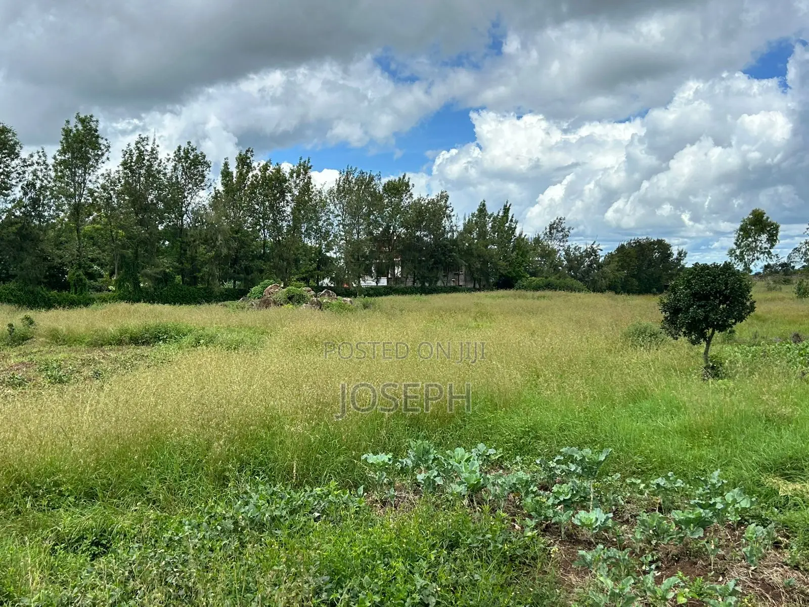 Kiserian Attractive 1/2acres Plot for Sale Near Hekima School