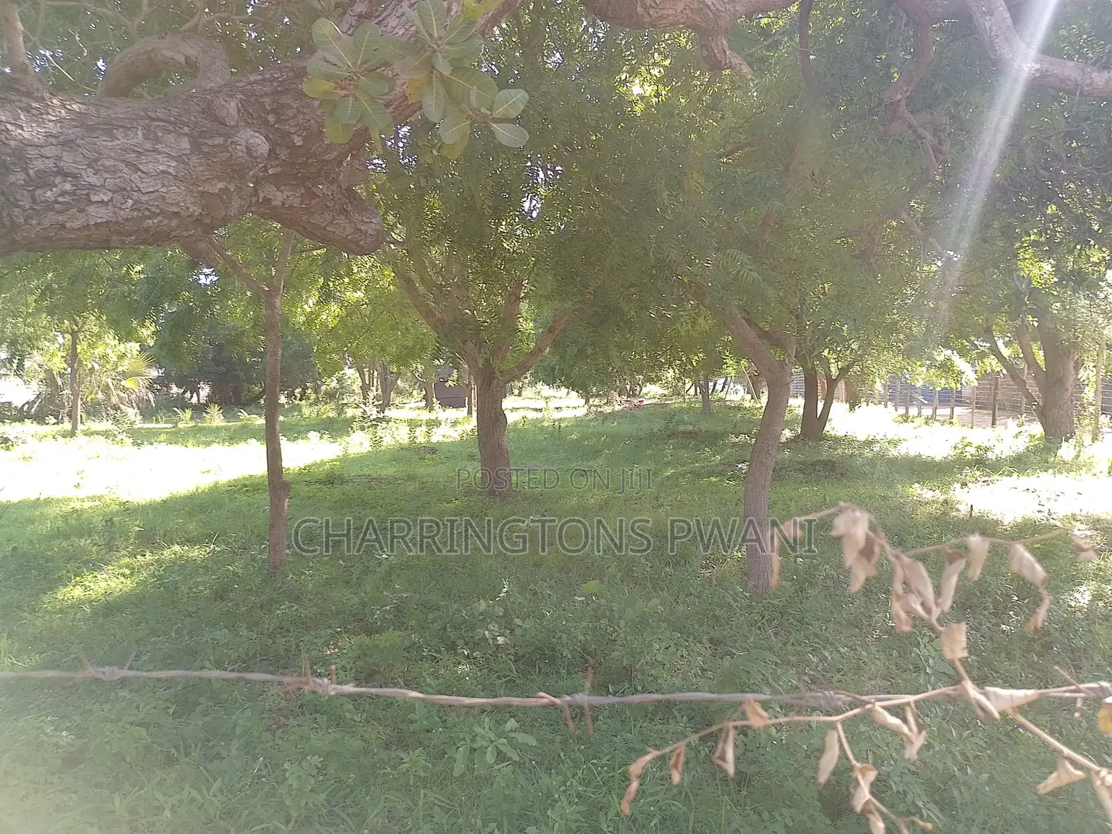 1 Acre Plot | Kongo Riverfront | 3rd Row Diani | Sunset Views