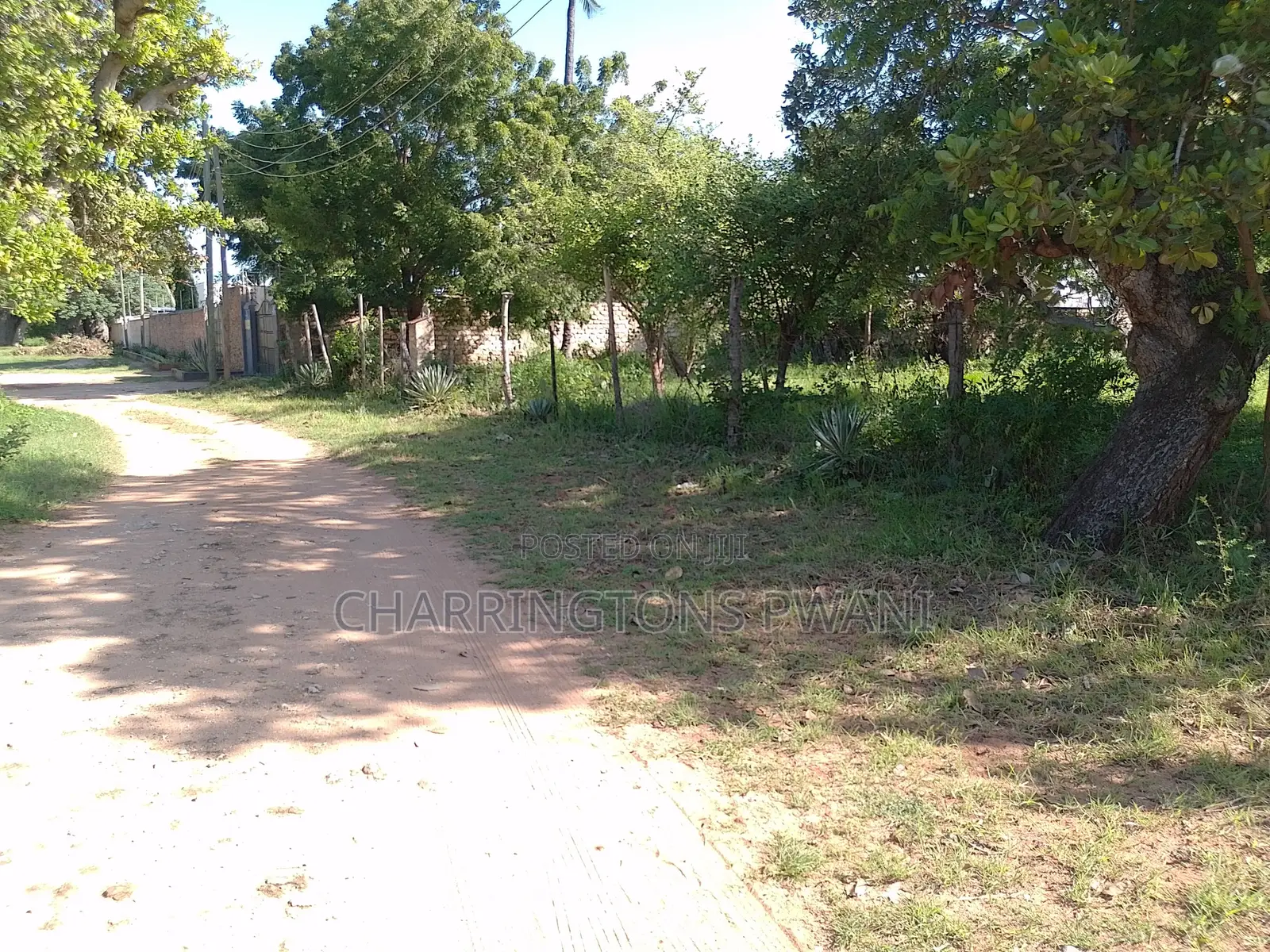 1 Acre Plot | Kongo Riverfront | 3rd Row Diani | Sunset Views