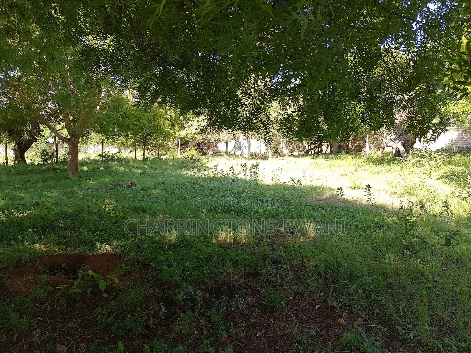 1 Acre Plot | Kongo Riverfront | 3rd Row Diani | Sunset Views