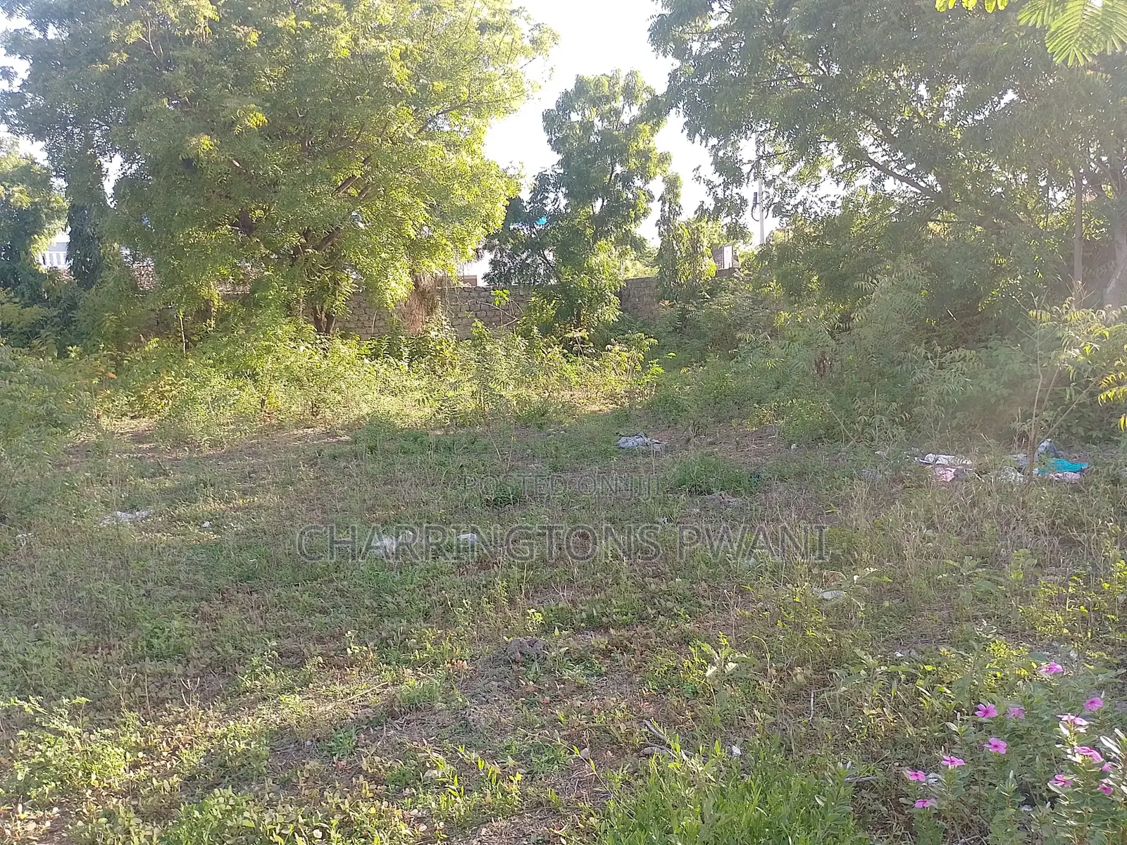 1⁄2 Acre Corner Plot | Perimeter Wall | 500m to Airport | Diani