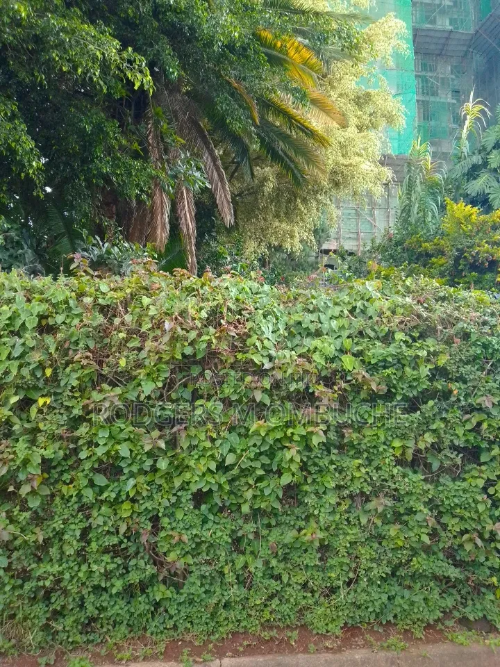 0.64 Acres Land for Sale in Westlands Rhapta Road Area