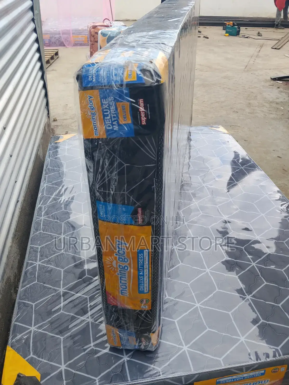 Quilted Foam 6 Inches Thick, 3 by 6, Morning Glory LTD