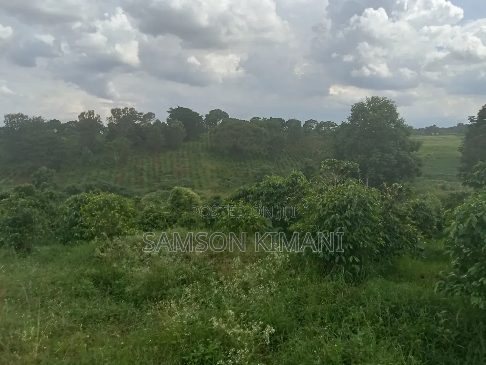 52acres Prime Land for Sale Kiambu County