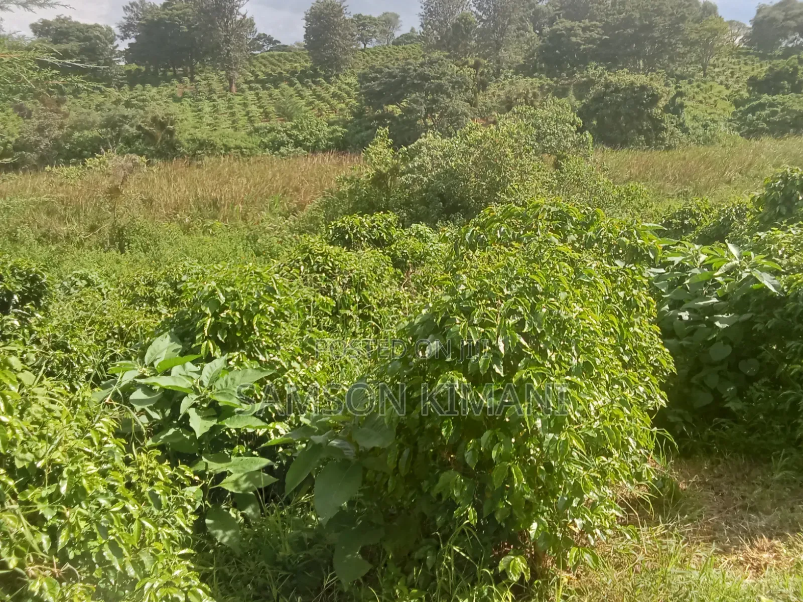 52acres Prime Land for Sale Kiambu County