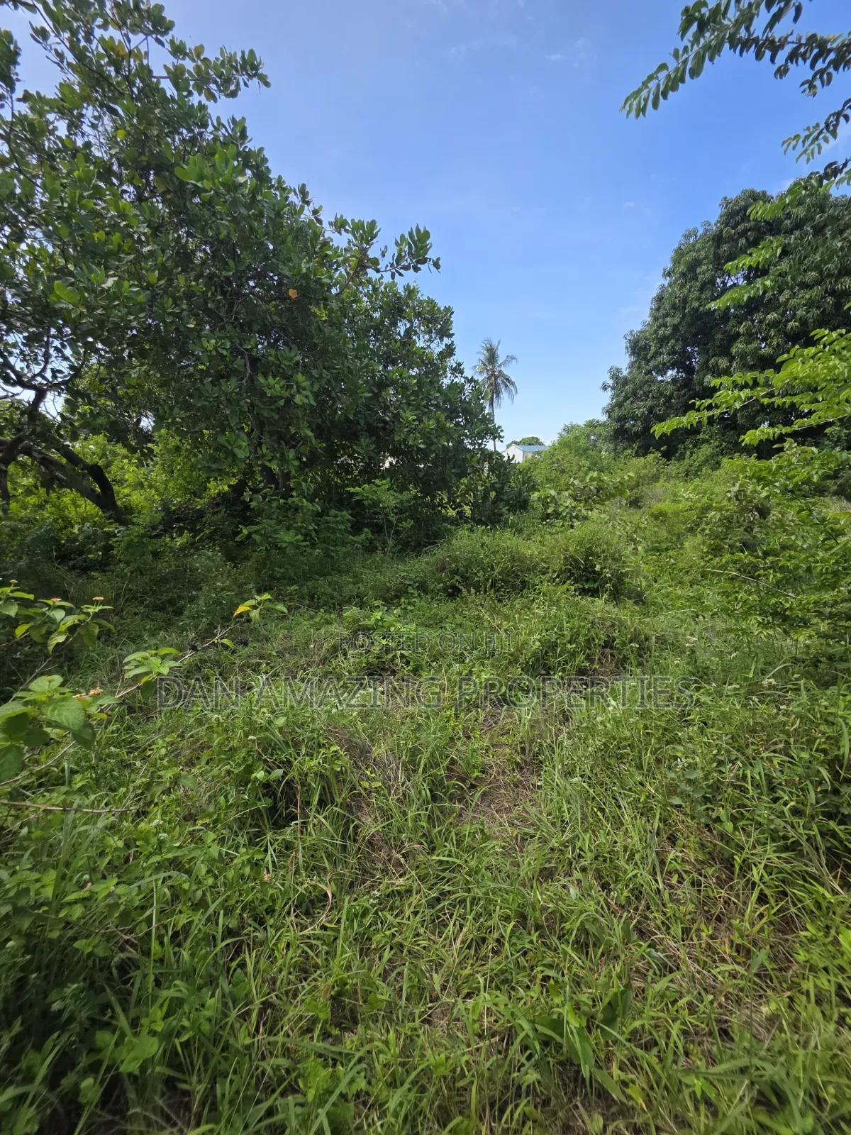 1/4 Acre Ukunda Shamu for Sale Ideal for Residential or Commercial