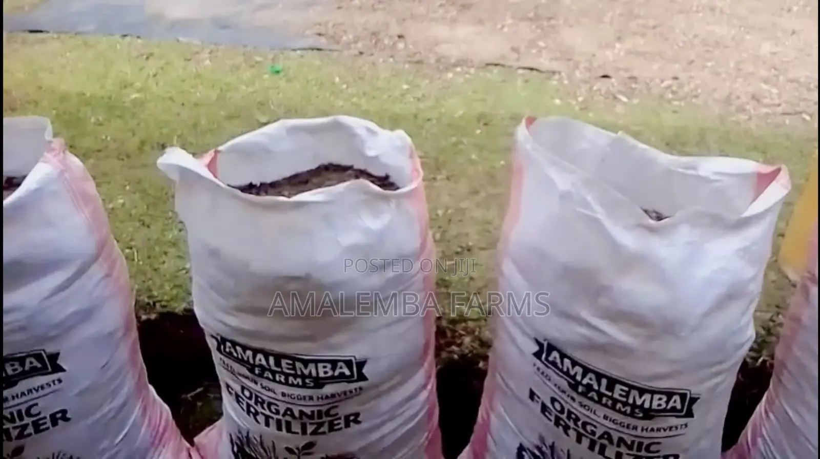 Organic Chicken Fertilizer for Sale – Vihiga (Delivery Available)